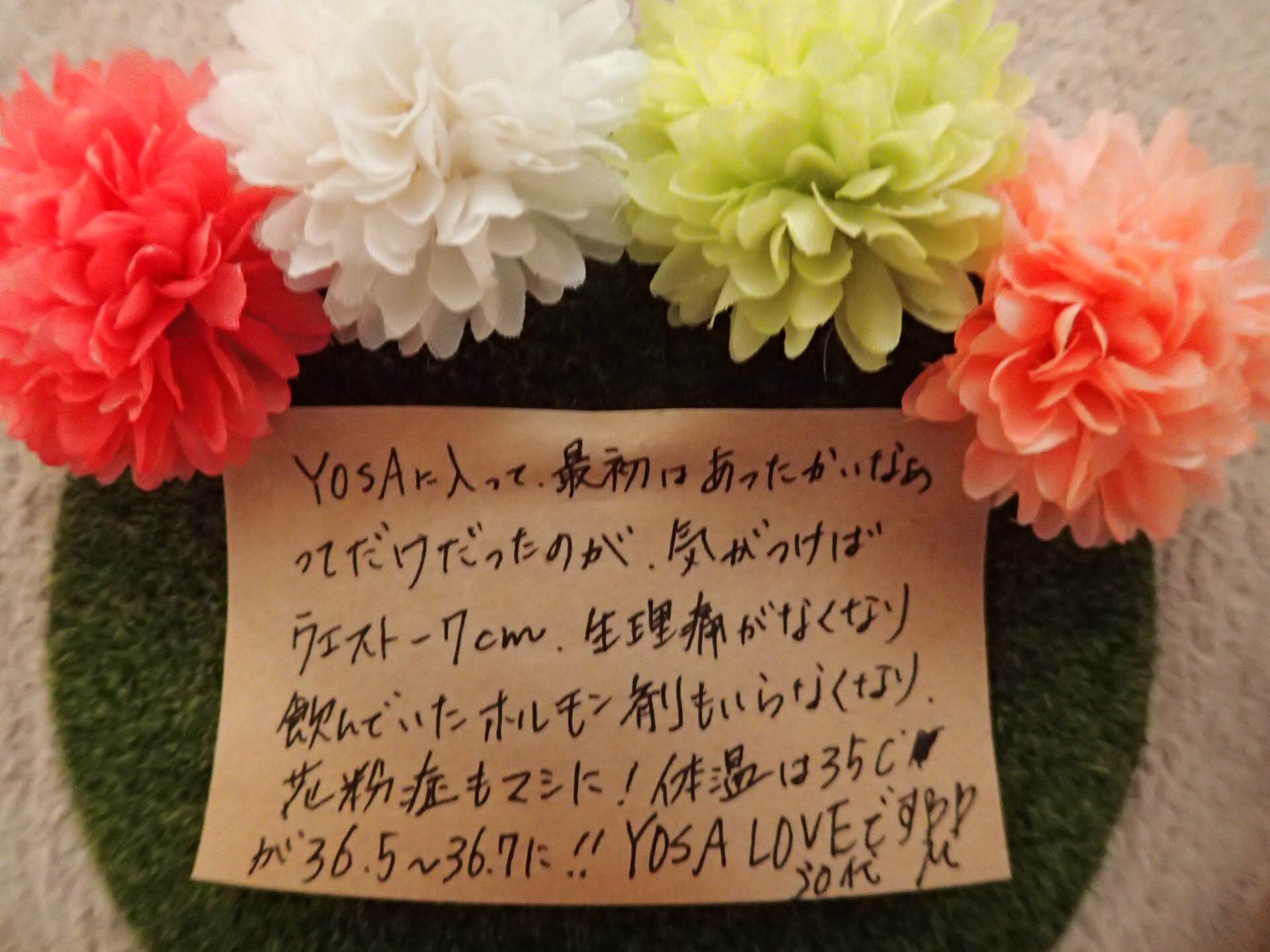 koe1.jpg(220825 byte)